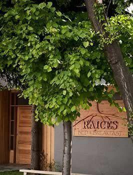 كويهايك Raices Bed And Breakfast المظهر الخارجي الصورة