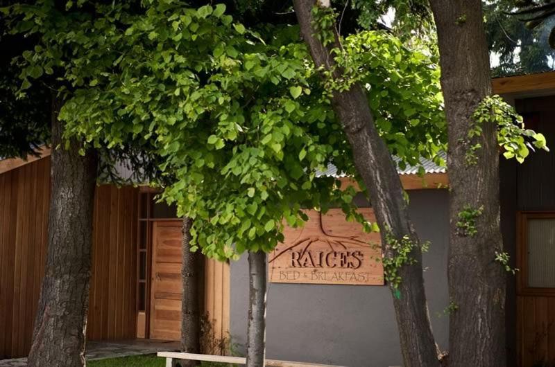 كويهايك Raices Bed And Breakfast المظهر الخارجي الصورة